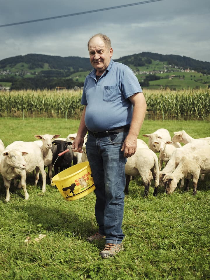 Er landete im Spital – danach fehlten über 8000 Franken Balázs-Zoltán Bakk mit Schafen - Ein rumänischer Schafhirt, der in der Ostschweiz arbeitet, plant einen Heimaturlaub. Stattdessen landet er im Spital – wo sein sauer verdienter Lohn verloren geht
