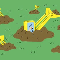 Die geheimnisvolle Baustelle in Nachbars Garten Bagger wühlt den Rasen auf