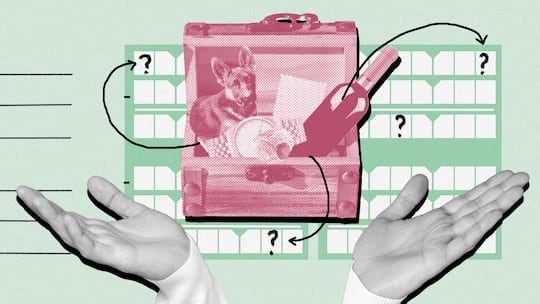 In einer geöffneten Holzkiste befindet sich eine teure Uhr, ein Ring, eine Flasche Wein und ein Hund. Auch wertvolle Habseligkeiten müssen in der Steuererklärung angegeben werden – oder etwa doch nicht?