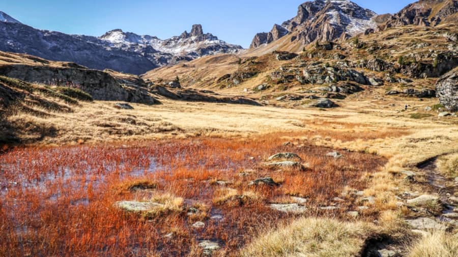 Vallon de Réchy